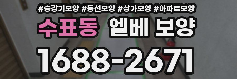 수표동 엘베 보양