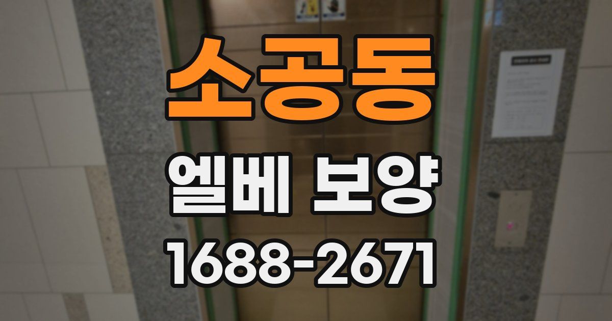 소공동 엘베 보양