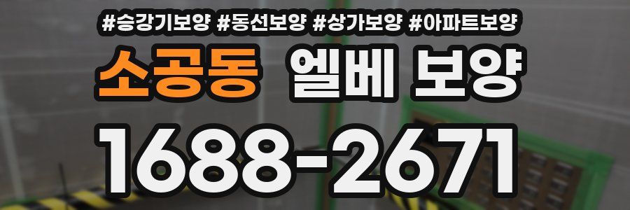 소공동 엘베 보양