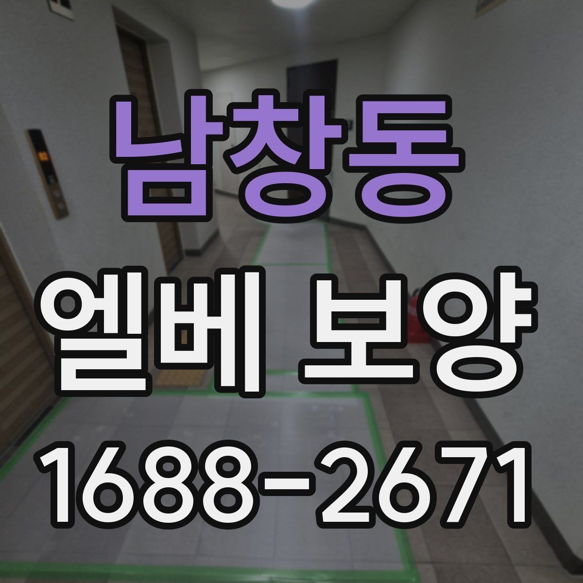 남창동 엘베 보양 시트 마감에서 자주 하는 실수와 예방
