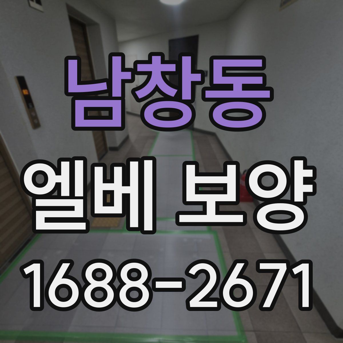 남창동 엘베 보양