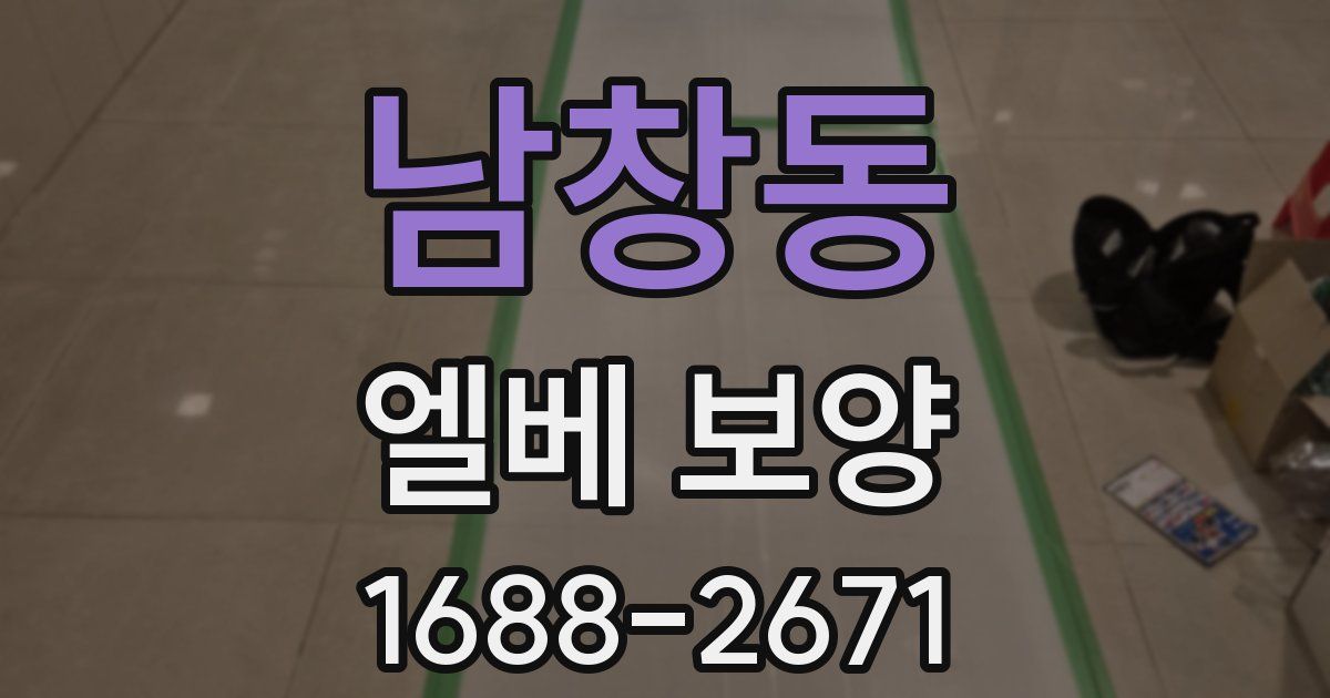 남창동 엘베 보양