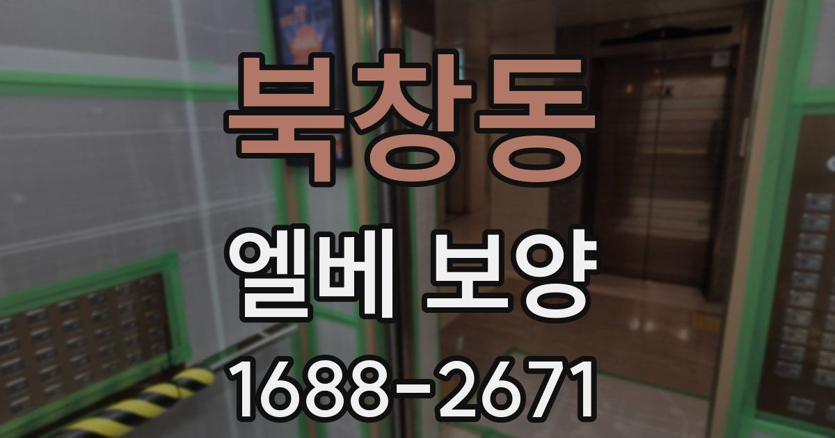 북창동 엘베 보양