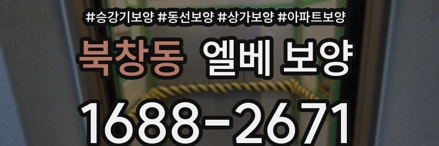 북창동 엘베 보양