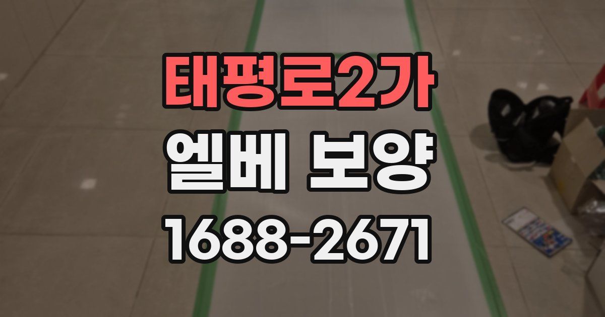 태평로2가 엘베 보양