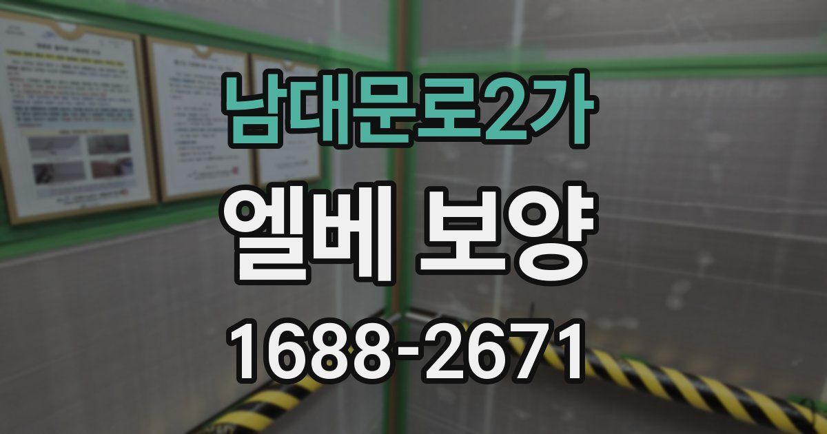 남대문로2가 엘베 보양