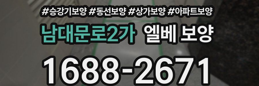 남대문로2가 엘베 보양