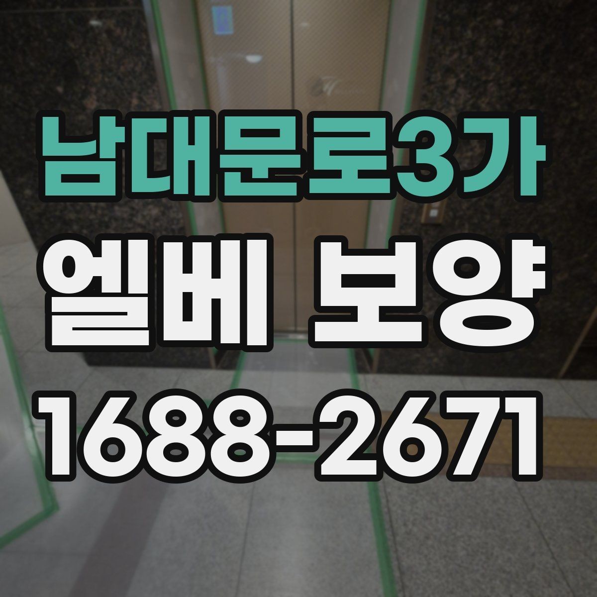 남대문로3가 엘베 보양 보양 사진을 찍어두는 목적