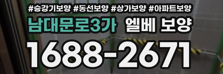 남대문로3가 엘베 보양