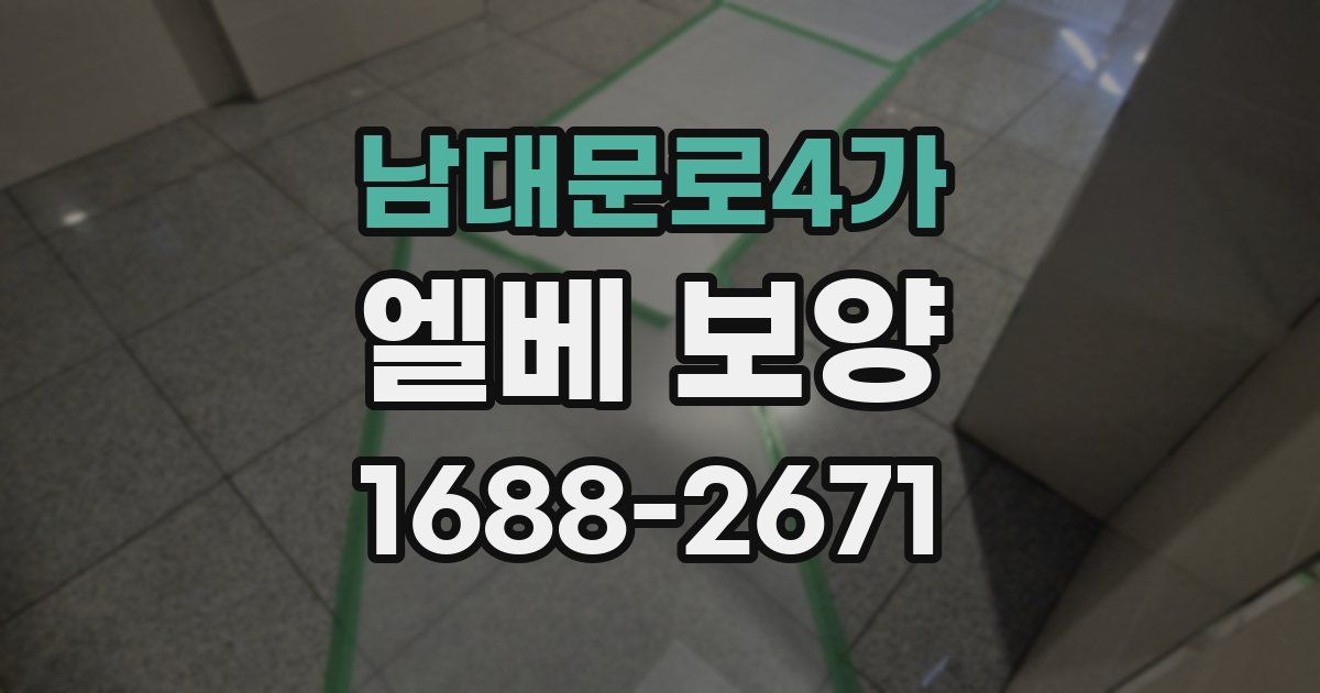 남대문로4가 엘베 보양