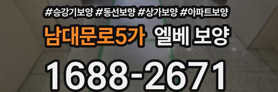 남대문로5가 엘베 보양