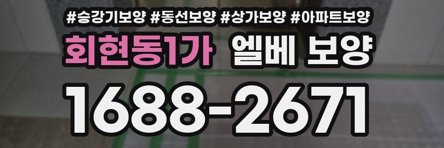 회현동1가 엘베 보양