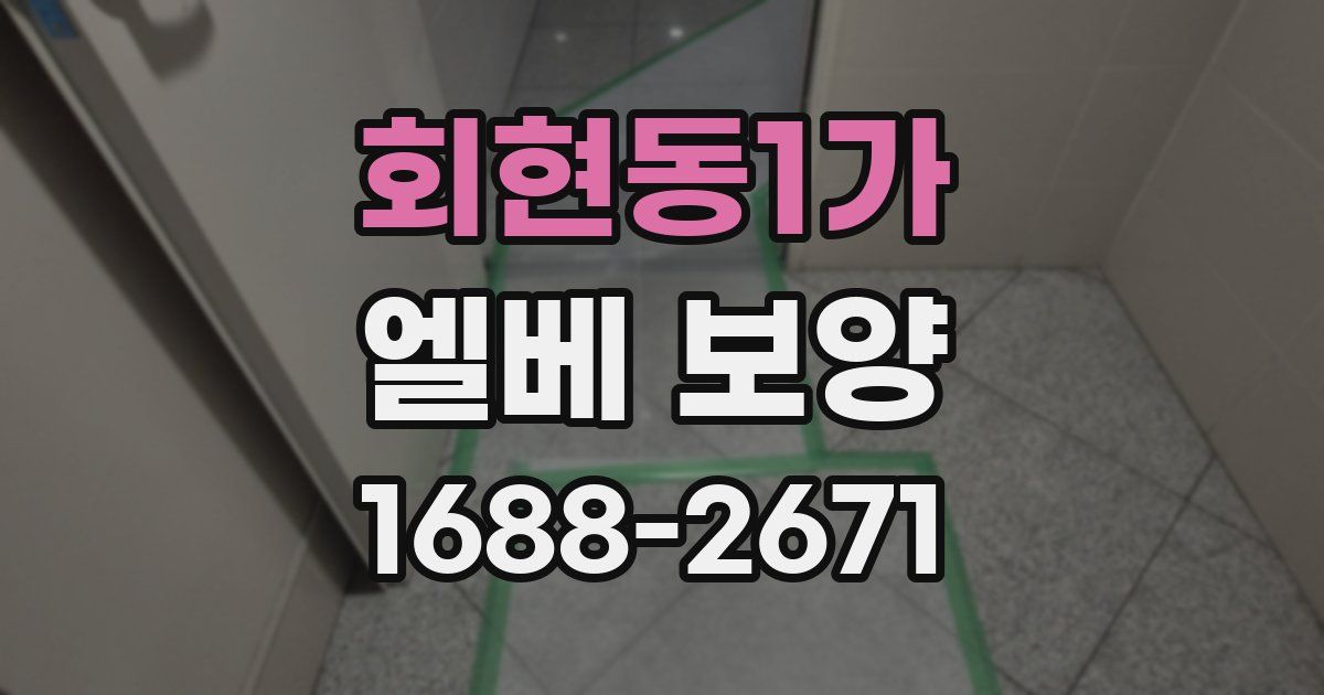 회현동1가 엘베 보양