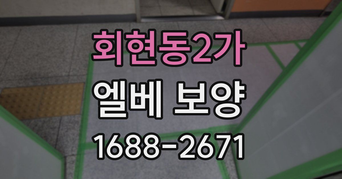 회현동2가 엘베 보양