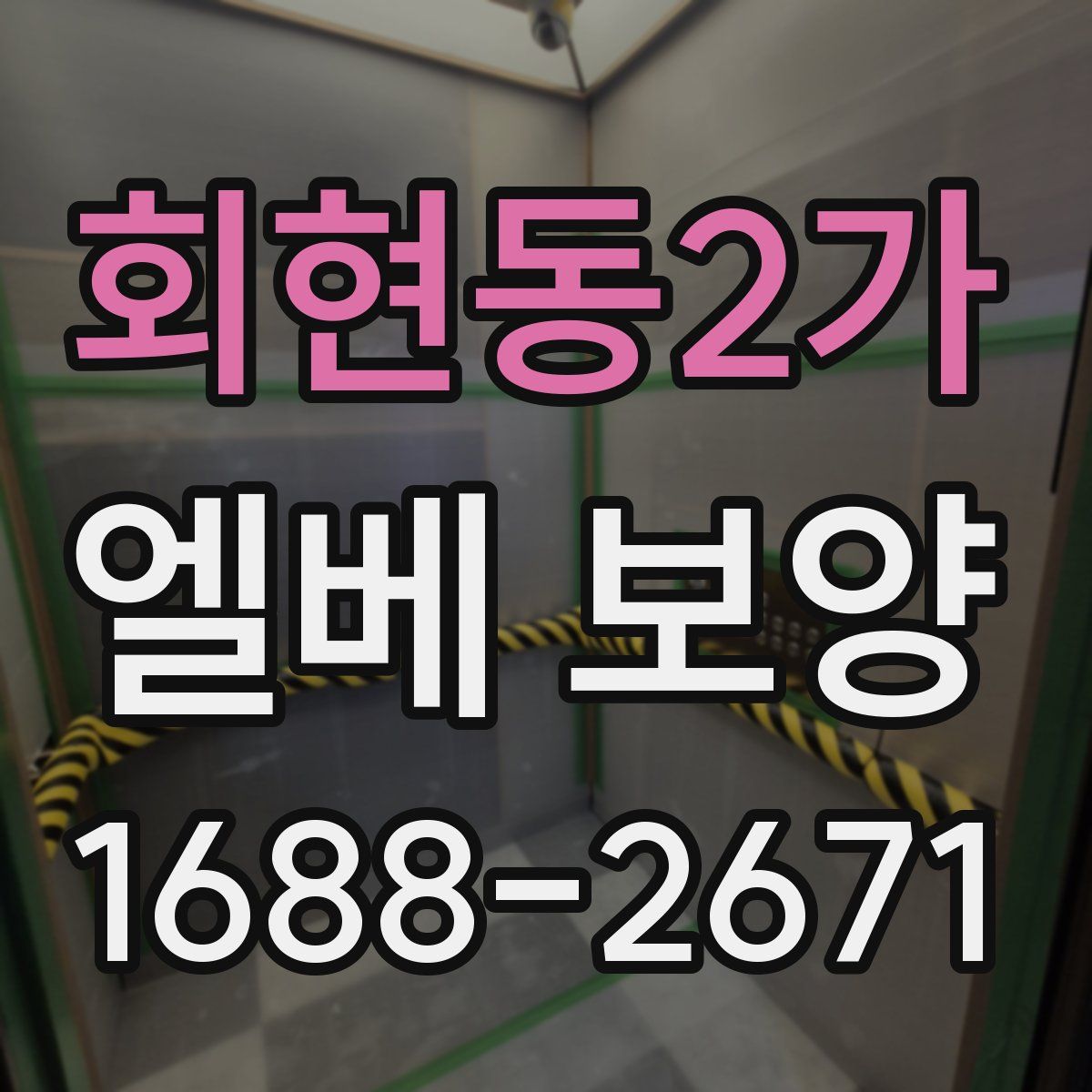 회현동2가 엘베 보양