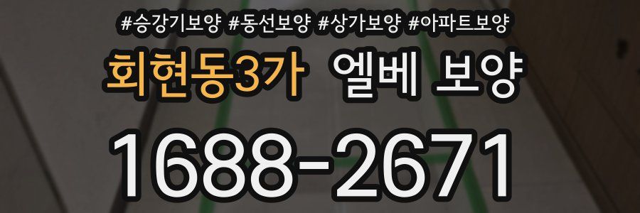 회현동3가 엘베 보양