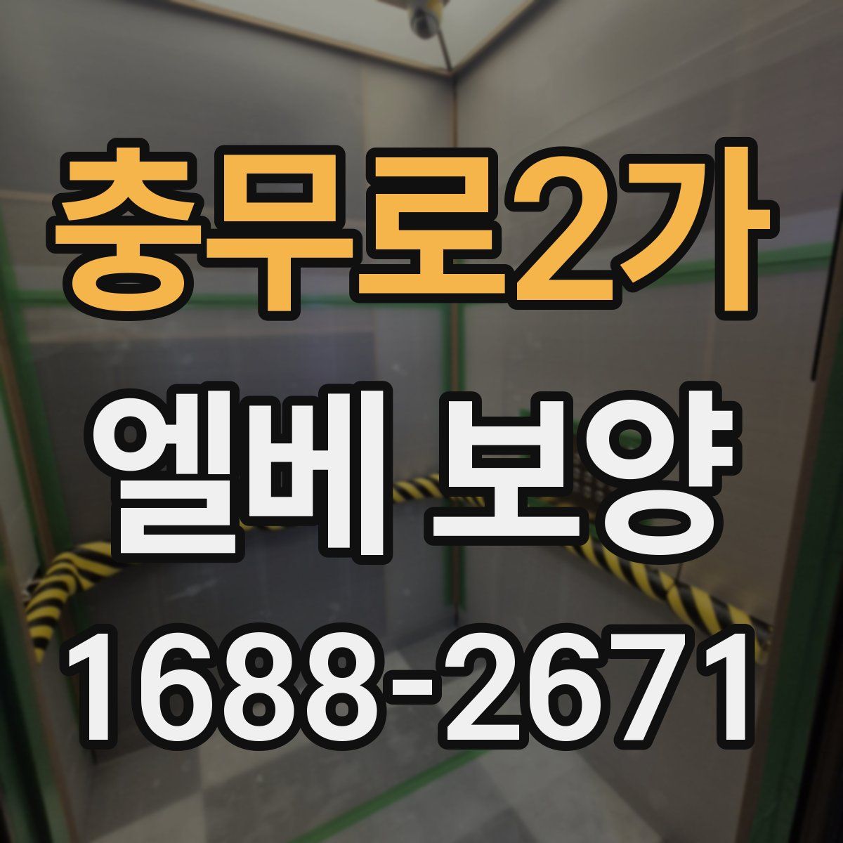 충무로2가 엘베 보양