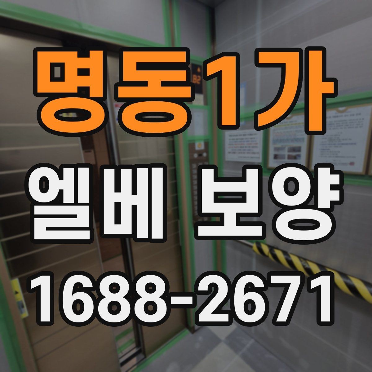 명동1가 엘베 보양 승강기 내외부 손상을 줄이는 적용 범위