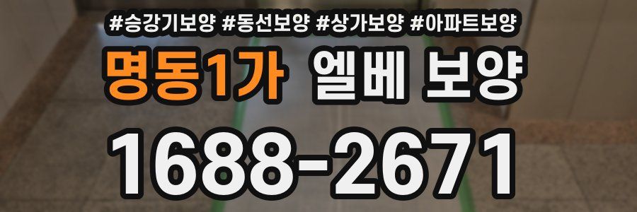 명동1가 엘베 보양