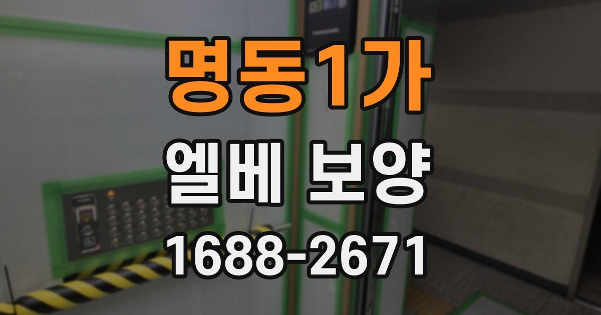 명동1가 엘베 보양
