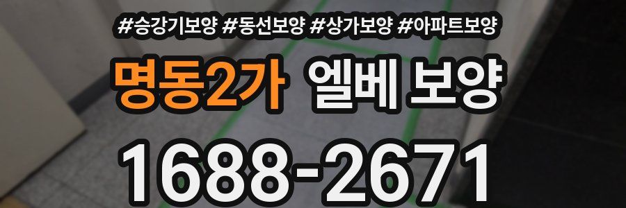 명동2가 엘베 보양