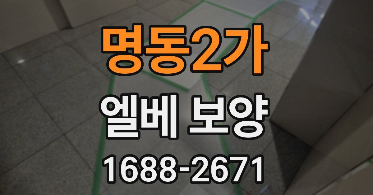 명동2가 엘베 보양