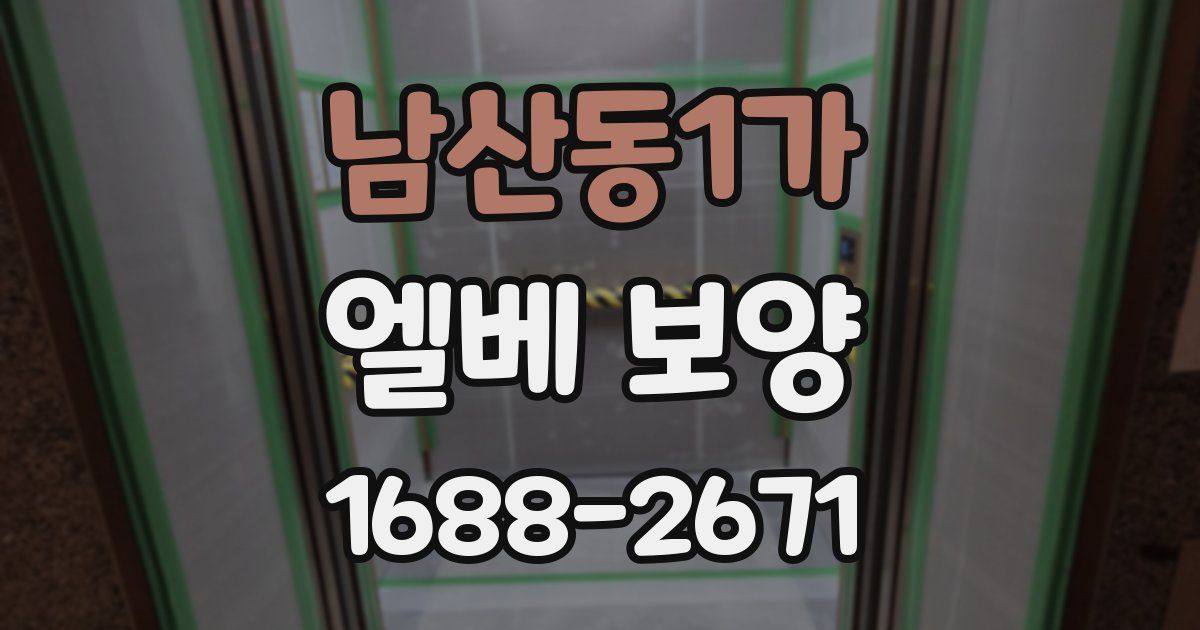 남산동1가 엘베 보양
