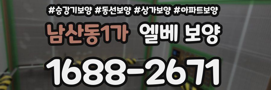 남산동1가 엘베 보양