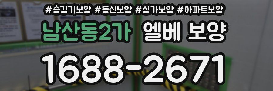 남산동2가 엘베 보양
