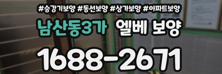 남산동3가 엘베 보양