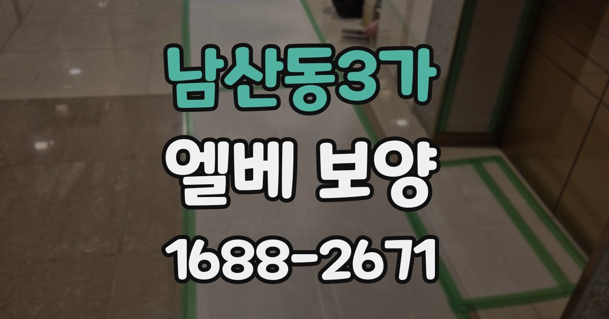 남산동3가 엘베 보양