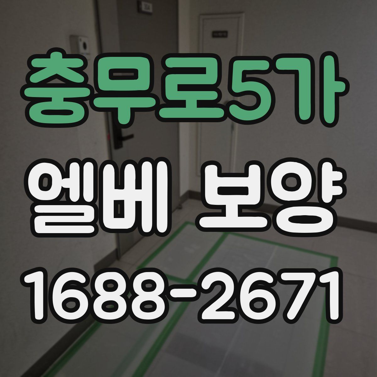 충무로5가 엘베 보양