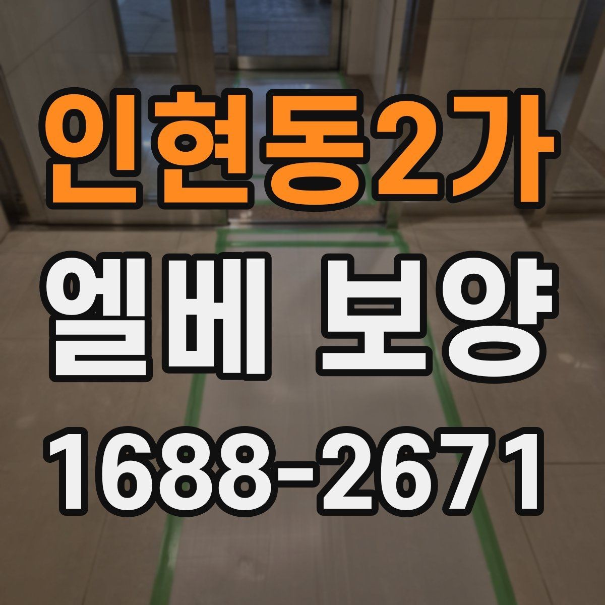 인현동2가 엘베 보양 사진 기록이 필요한 순간과 관리 방법