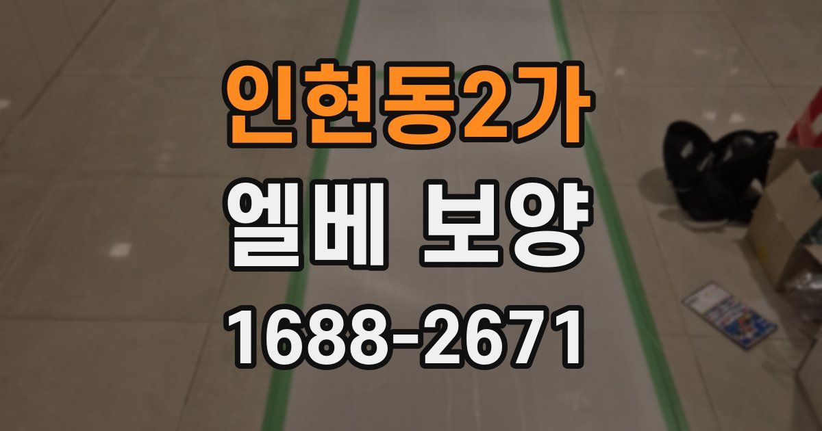 인현동2가 엘베 보양