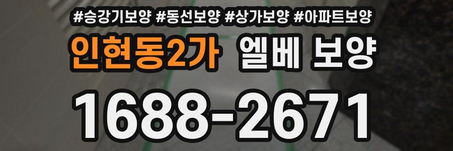 인현동2가 엘베 보양