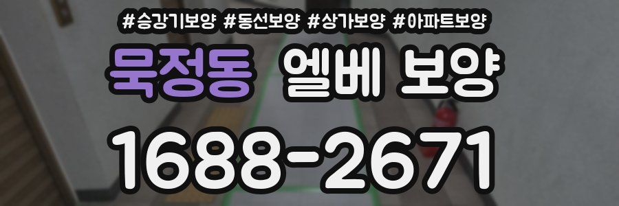 묵정동 엘베 보양
