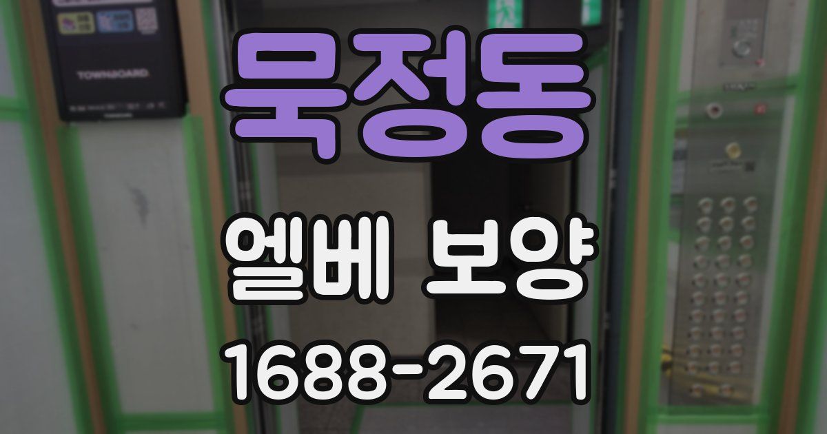 묵정동 엘베 보양