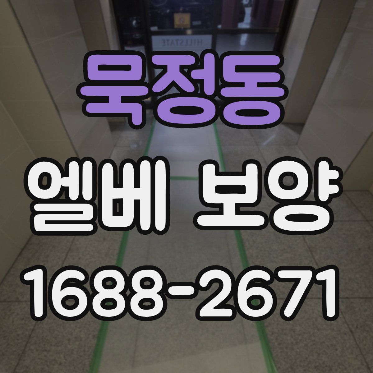 묵정동 엘베 보양