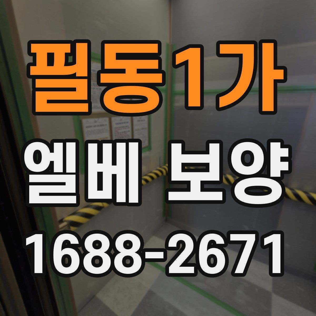 필동1가 엘베 보양 보양 사진을 찍어두는 목적