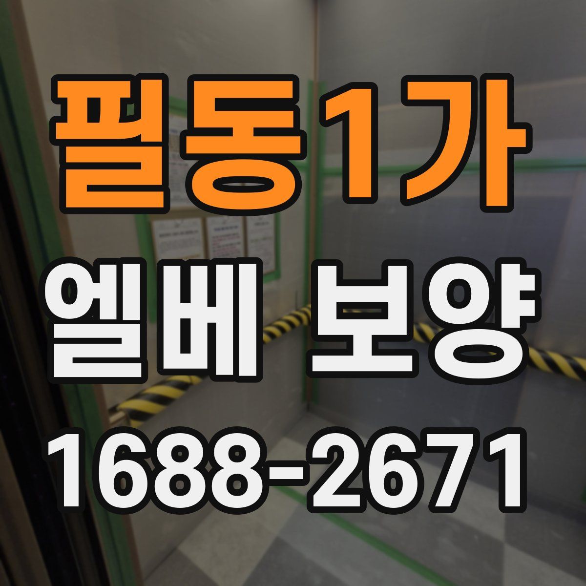 필동1가 엘베 보양
