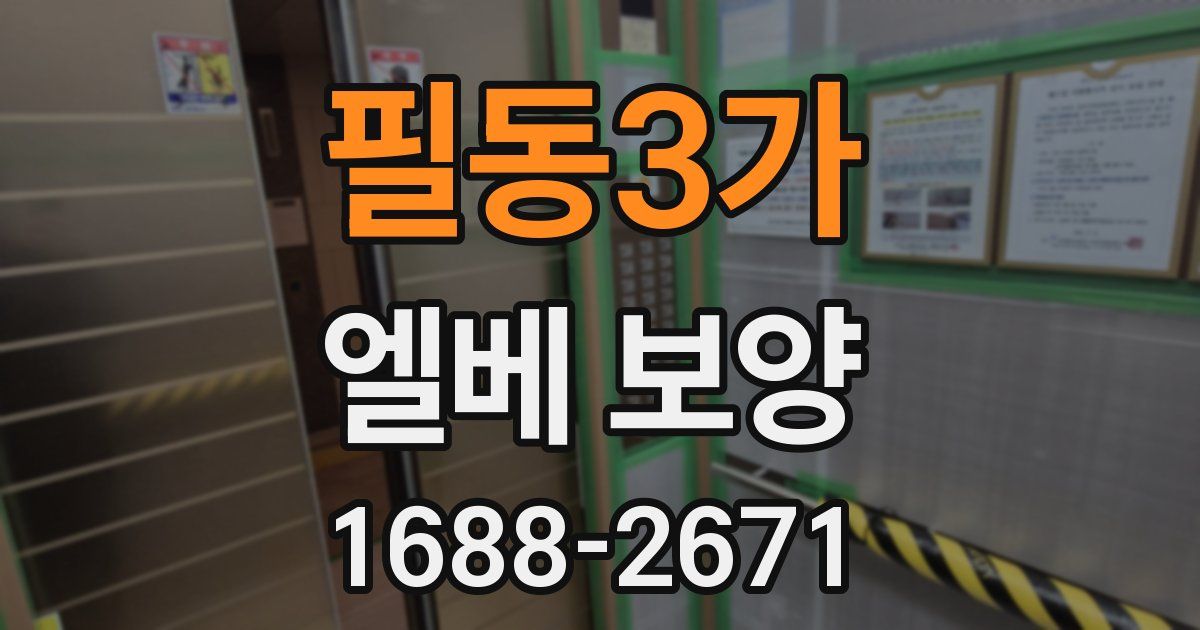 필동3가 엘베 보양
