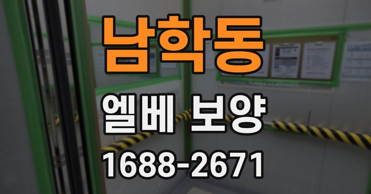 남학동 엘베 보양