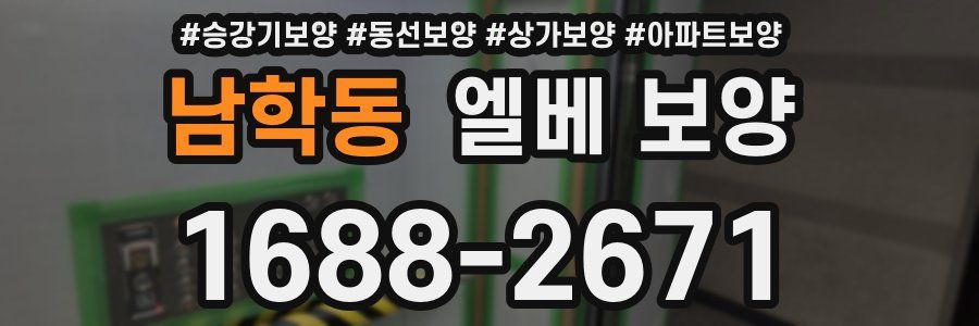 남학동 엘베 보양