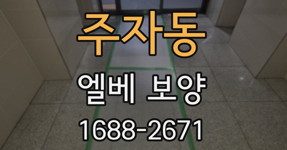 주자동 엘베 보양