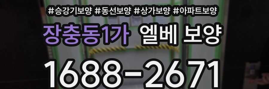 장충동1가 엘베 보양