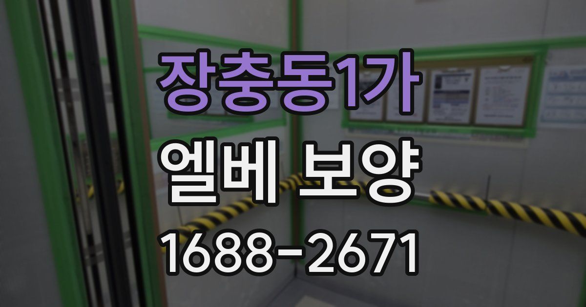 장충동1가 엘베 보양