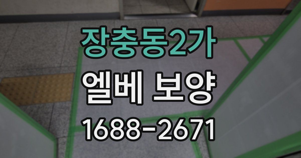 장충동2가 엘베 보양