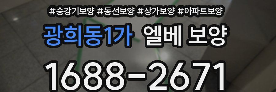 광희동1가 엘베 보양