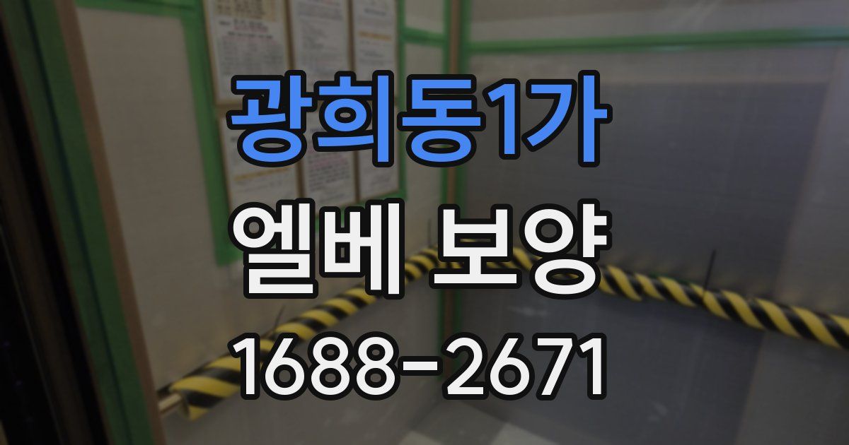 광희동1가 엘베 보양