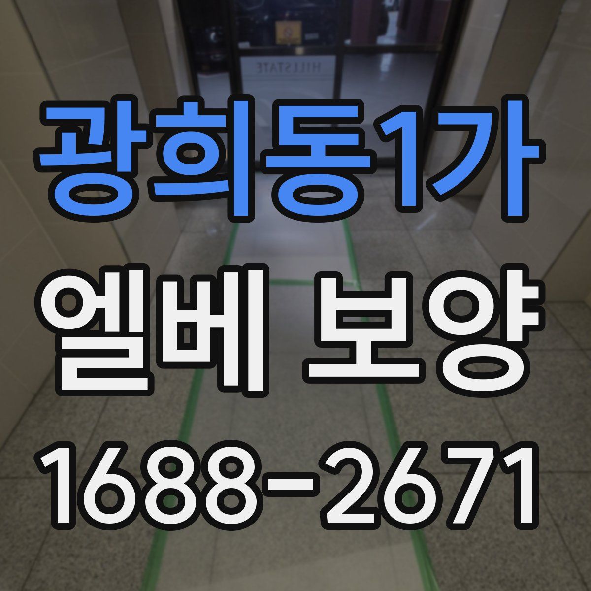 광희동1가 엘베 보양